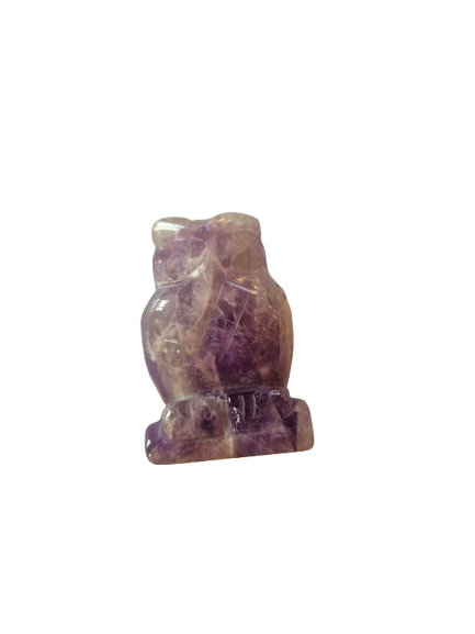 1000034559 removebg preview