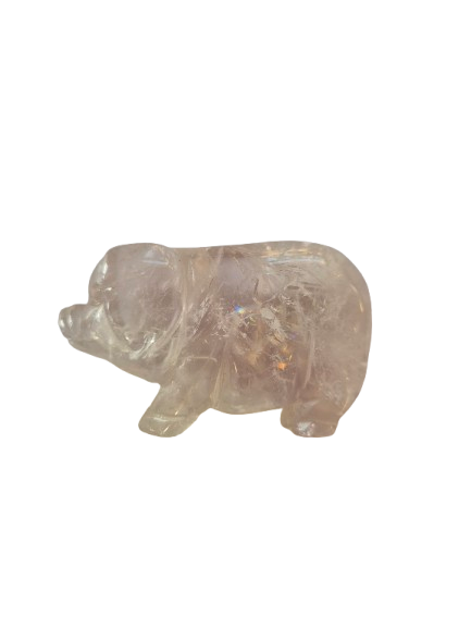 1000034561 removebg preview