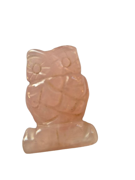 1000034565 removebg preview (1)